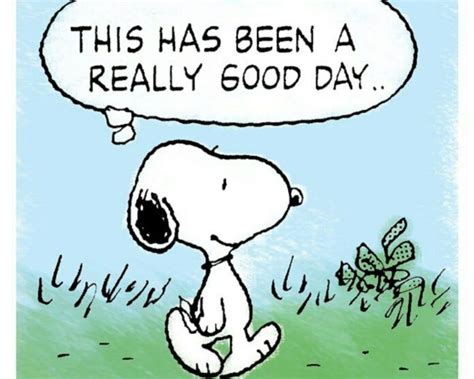 7 Snoopy Quotes About Life And Happiness | Snoopy quotes, Snoopy comics ...