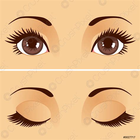 Open Closed Eyes - stock vector 3027717 | Crushpixel