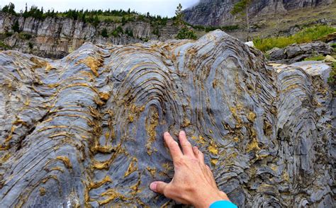 Montana Stromatolites : r/geology