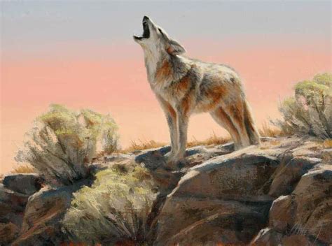 Howling Coyote (With images) | Animal paintings, Wildlife paintings, Wildlife art