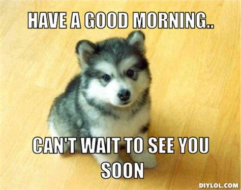 i can't wait to see you - Google Search | PUPPiES!!!! | Funny dog memes ...