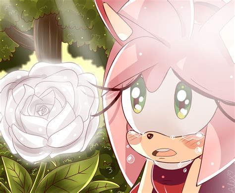 Sonic X: Amy Rose screenshot redraw by piink-rose on @DeviantArt Inappropriate Memes, Character ...