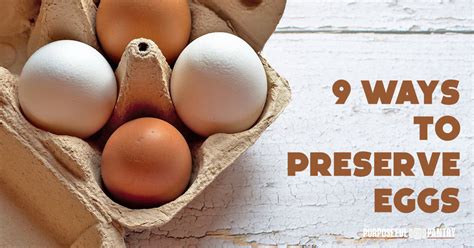 9 Ways to Preserve Eggs (Safely) - The Purposeful Pantry