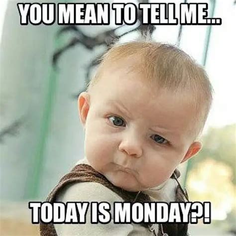 67+ Monday Memes: Be Ready To Fall About Laughing - BayArt