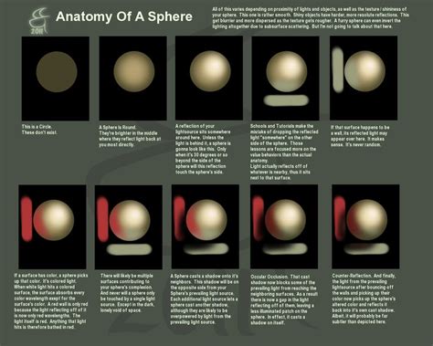 Anatomy Of A Sphere | Digital painting tutorials, Digital art tutorial, Art basics