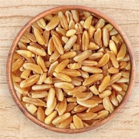 Golden Loose Indian Durum Wheat at Rs 2200/quintal in Sriganganagar ...