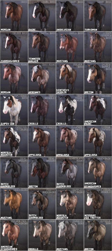 Horses - Red Dead 2 - Living examples in 2021 | horses, breeds, horse ...