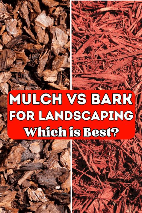 Mulch Vs Bark: What's the Difference and Which is Best? - The Homestead ...