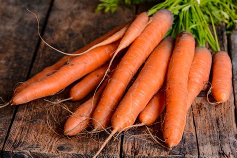 100Pcs Organic Carrot Seeds – Passion For Plantation