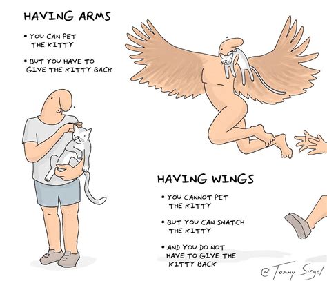 having arms vs having wings: a guide [OC] : r/comics