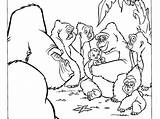 Silverback Gorilla Coloring Pages At GetColoringscom  Free Printable sketch template