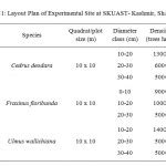 Carbon Percent in Different Components of Tree Species and Soil Organic ...