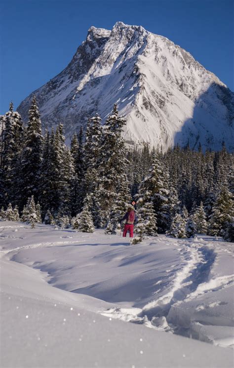 Just 25 Magical Photos of Alberta in the Winter