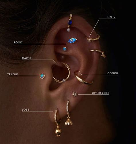 Ear Piercing Names, Auricle Piercing, Ear Piercings Chart, Types Of Ear Piercings, Pretty Ear ...