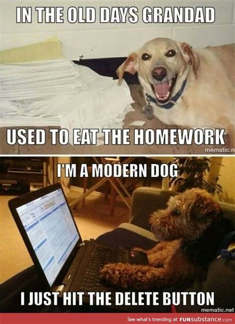 Dog ate my homework - FunSubstance | Funny dog memes, Funny dog ...