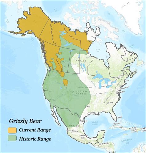 Saw something in this sub the other day about the historic grizzly bear range vs. their current ...