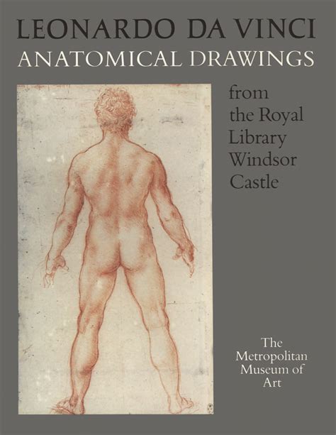 Leonardo da Vinci: Anatomical Drawings from the Royal Library, Windsor Castle. — New York, 1983 ...