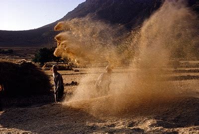 "Winnowing wheat at harvest, Boir Ahmad" by Reinhold Loeffler