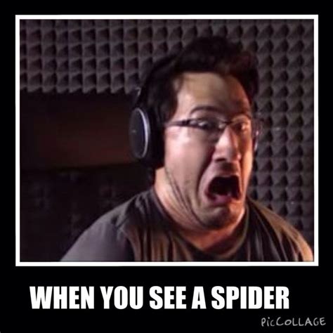 Pin by Rose Gamer on Youtubers | Markiplier memes, Markiplier, Youtubers funny