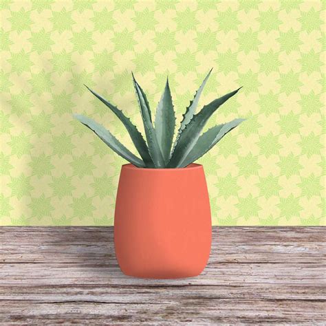 Agave Plant With Pure Terracotta Pot - Greensy