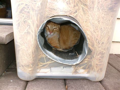 35 Best Ideas Diy Outdoor Cat Shelter – Home, Family, Style and Art Ideas