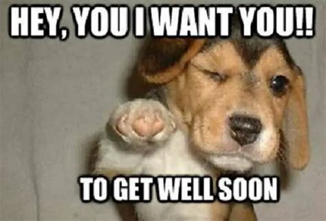 Funny Get Well Soon Memes For Everyone Get Well Soon Meme Get | The ...