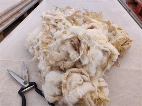 Black Shetland Fleece - Soft Raw Fleece for Spinning - Island Sheep ...