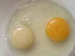 Egg yolk colour meaning | HEALTH | Wives Connection