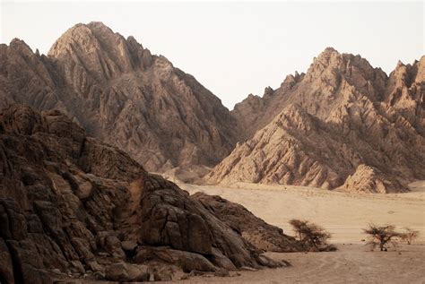 Sinai Desert | Cool places to visit, Deserts, Places to visit