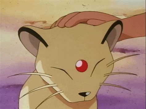 Pokemon Persian GIF - Find & Share on GIPHY