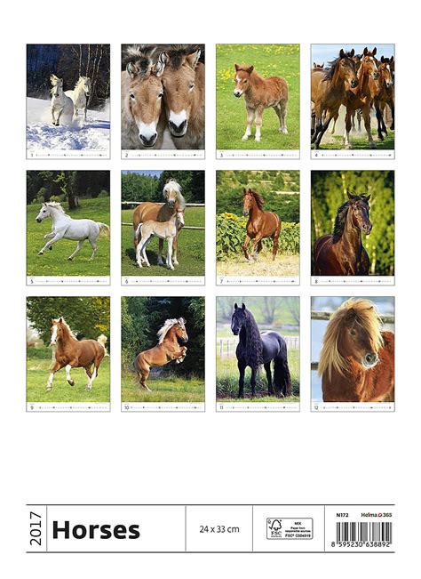 Horses Calendar LG 2017 | Horses