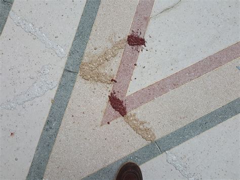 Epoxy Terrazzo Floor Repair Kit – Flooring Ideas