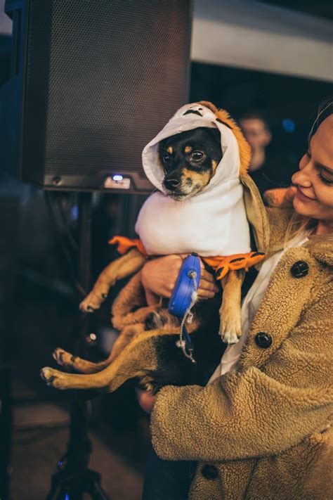 A Fancy Dress Halloween Party For Dogs Is Happening In Manchester This ...