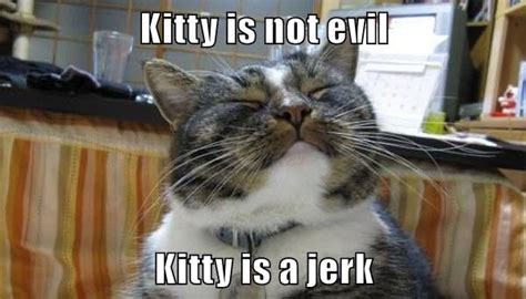 Kitty is... - Lolcats - lol | cat memes | funny cats | funny cat ...