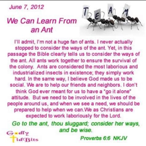 Lessons from an Ant: Christian Devotional