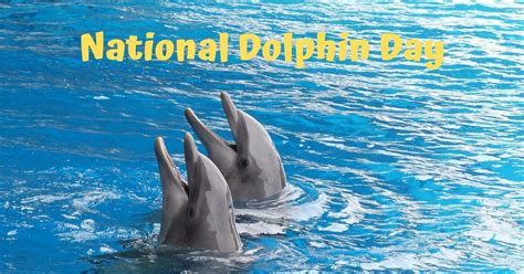 National Dolphin Day - April 14 - I Love Veterinary