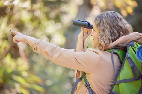 How to Start Birdwatching? A Beginners Guide to Birding