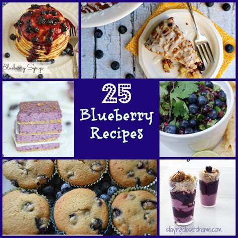 25 Amazing Blueberry Recipes (Fruit Pie Recipes too)