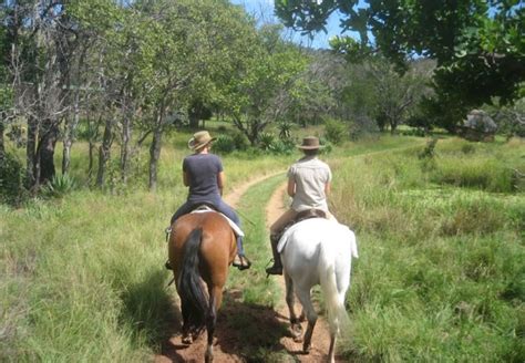 Things To Do in Waterberg