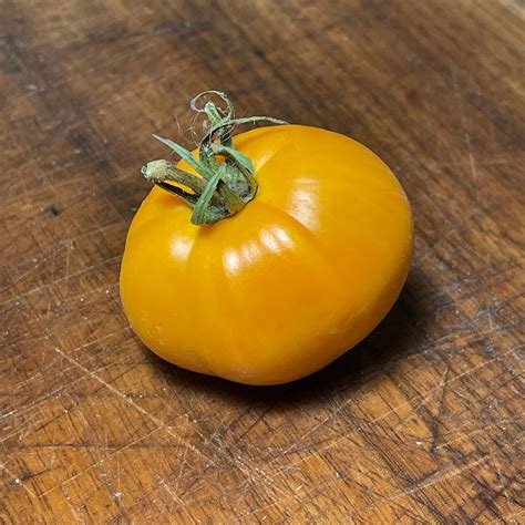 Dixie Golden Giant - Tomato Seeds - Heirloom Tomato - 25+ Seeds – Oak ...