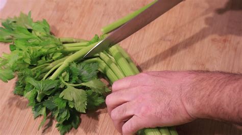 Kristen Jakobitz on Twitter: "One stalk of #celery can provide 25% of your daily vitamin K needs ...