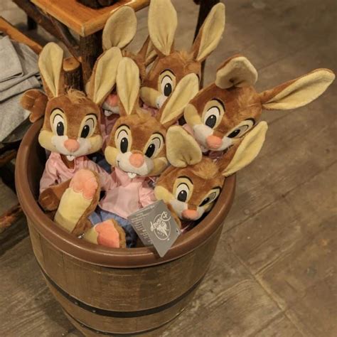 Brand new Splash Mountain merchandise has started to appear at Walt Disney World and Disneyland ...