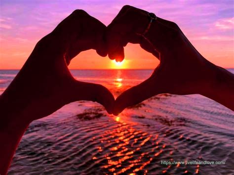 Heart-Shaped Hands on Sunset Background | Live Life and Love