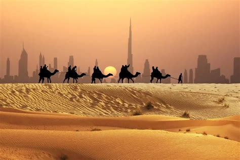 Top Things to Do in Dubai's Desert