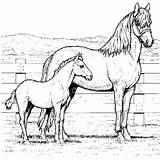 Free Printable Horse Coloring Pages For Kids sketch template