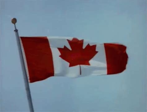 Canada Flag GIF - Canada Day Flag Country - Discover & Share GIFs