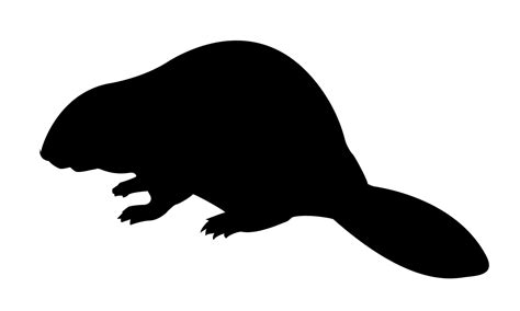 silhouette beaver on white background | International Wolf Center