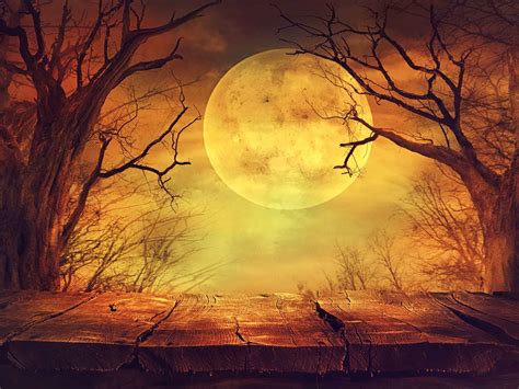 Halloween Background With Ball Moon Photography Backdrop – Shopbackdrop