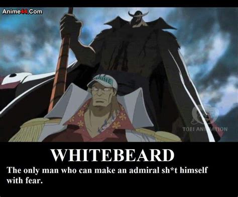 Whitebeard Vs Akainu | Anime Amino