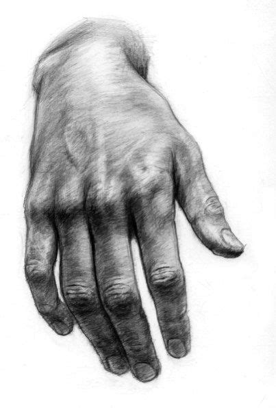 F6058622288147.5630fcd4992ed | How to draw hands, Life drawing, Hand art